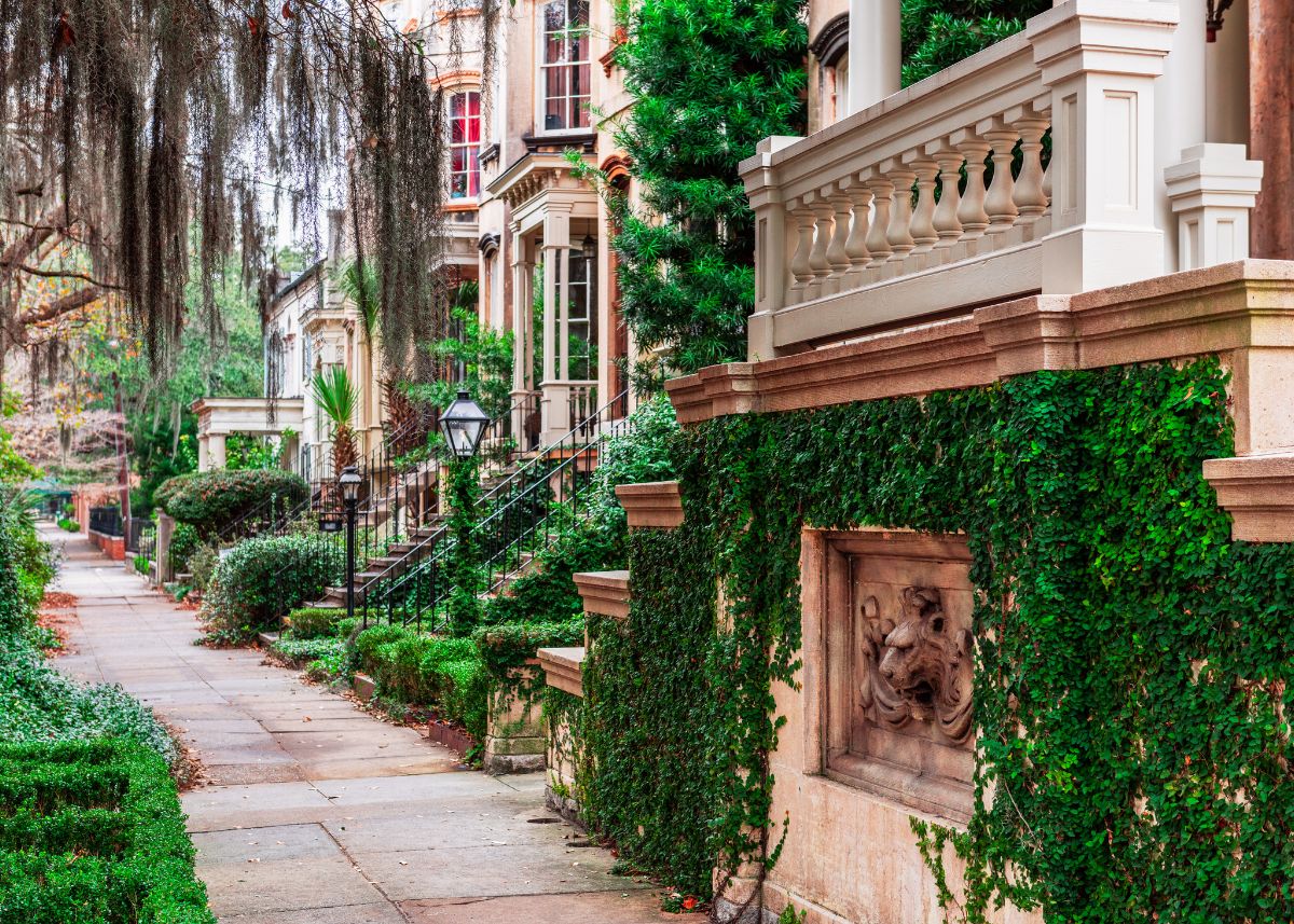 A row of homes in downtown Savannah with ivy growing on them under trees with Spanish moss.