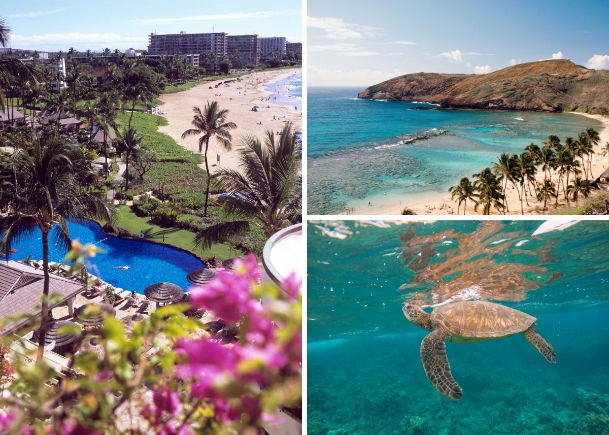 Collage of images from Maui, Hawaii.