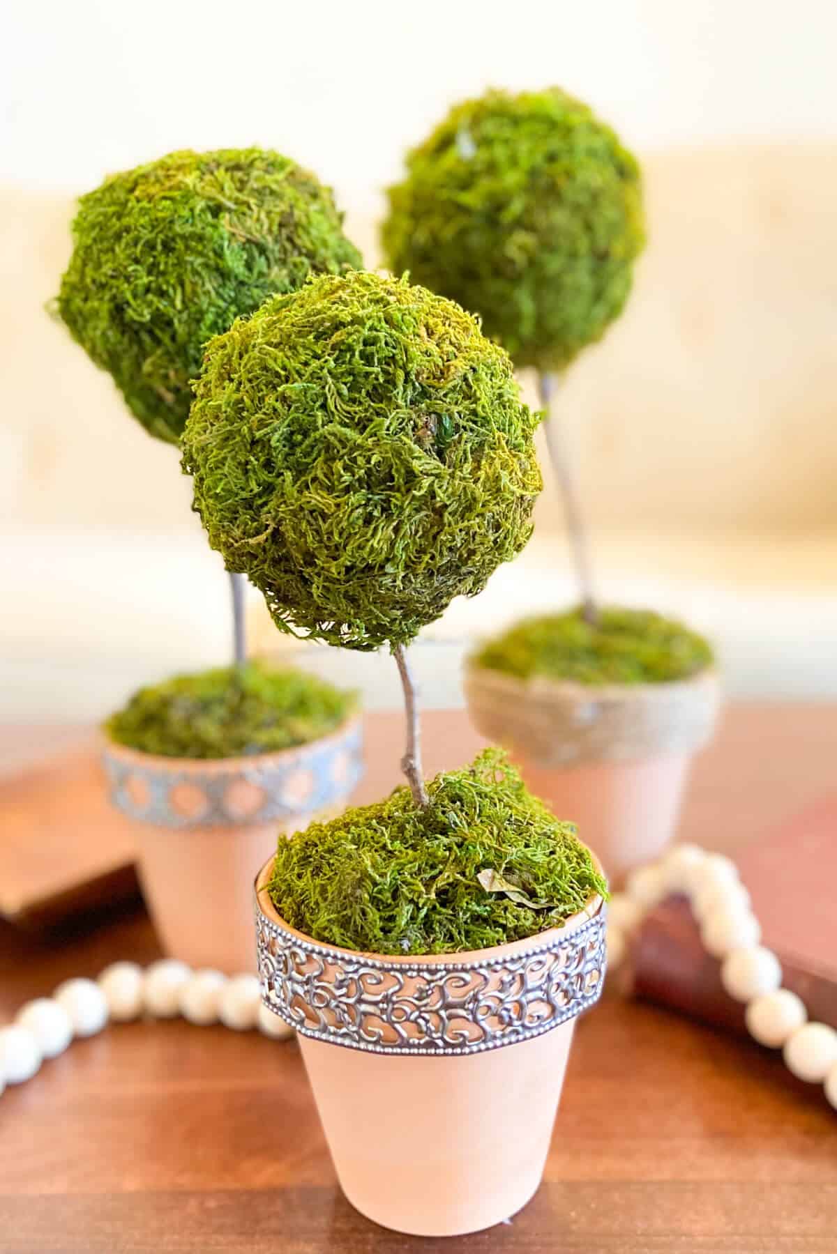 Homemade mini topiaries on a wooden table.